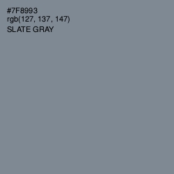 #7F8993 - Slate Gray Color Image